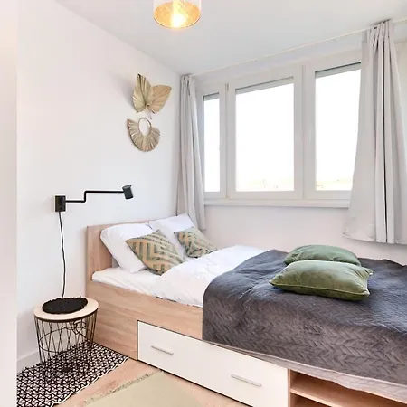 Olive City View Apartment